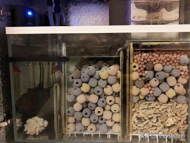 给底滤鱼缸做干湿分离，理论合理，效果惹争议