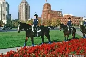 这几个地方你没去，不算来过大连图片