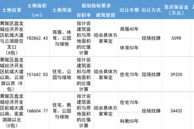 重磅！卓尔智城39.67亿摘地！将建世界杯标准专业足球场！图片