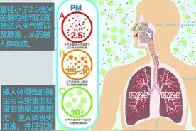 办公室明亮整洁？小心室内空气污染图片