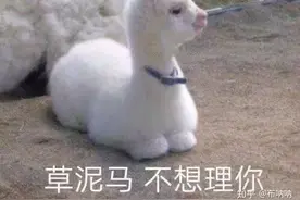 有哪些沙雕可爱的自动回复图片