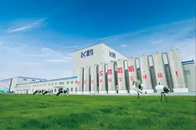 上市开门红！飞鹤港股乳业市值第一图片