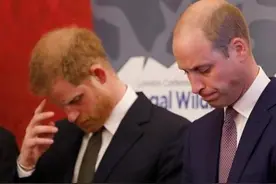 英国王室基因跑偏，龅牙和秃顶魔咒难打破，问题到底出在谁身上图片