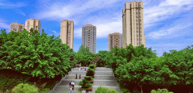 大专生毕业去向
