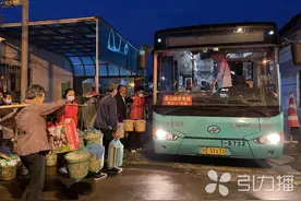 枇杷杨梅更快进城 苏州公交东山助农专线今起开行图片