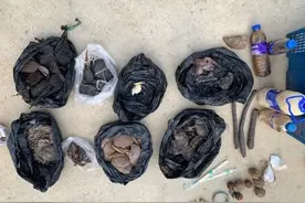 当街叫卖野生动物制品！一女子被查图片