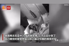 视频丨最惨铲屎官！美国一女子经常被两只追逐奔跑的宠物猫踩脸图片