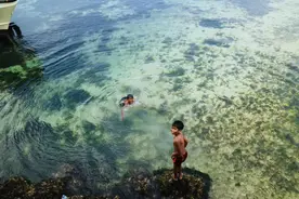 请问单身有什么好处？图片