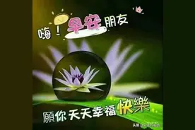 每个人都有自己的活法，不必去复制别人的生活，早安图片