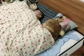 喊老公吃饭半天没回应，打开门看后忍不住发火：你们过日子算了图片