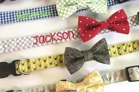 可调节长短的宠物颈圈制作教程，特别适合“凹造型”图片