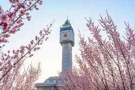 喜讯！南京工业大学2020年本科招生录取工作结束，共录取新生6500余人！图片