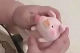 表情包：你在我手上了，小肥猪图片