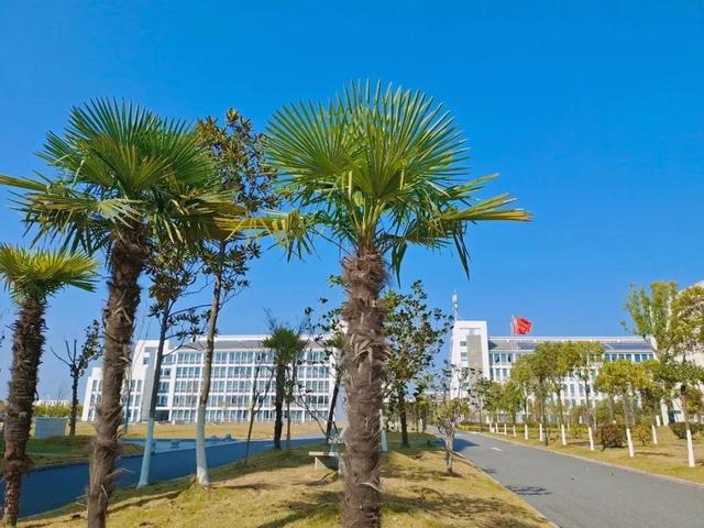 安徽省高校(四十)合肥城市学院