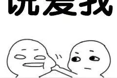 表情包：快说爱我。图片