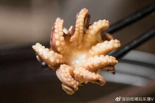 深圳花胶煲鸡 广东花胶煲鸡