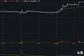 涉嫌内幕交易！雷迪克实控人遭立案调查图片