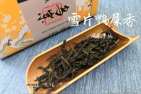 凤凰单丛｜何为“雪片”,与其他季节所采的茶有什么不同？图片