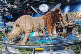 超好玩的武汉科技馆，互动体验项目多，没门票适合遛娃图片