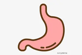 幽门螺杆菌，感染44亿人的一级致癌物，杀灭他，常常联合铋剂图片