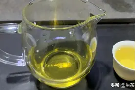冰岛普洱茶好吗？一文了解冰岛普洱茶价格多少？贵在哪里？图片