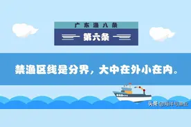视频 | 渔业捕捞作业，这些重要的事情您一定要知道！（二）图片