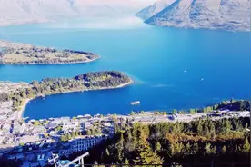 重磅！利好政策接踵而至！新西兰留学移民不是梦图片