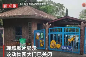 官方回应饲养员被老虎袭击身亡：隔离门未锁好，55岁在编职工入笼内打扫发生不幸图片