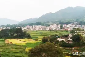 老红军赖华：自力更生建设洛口图片