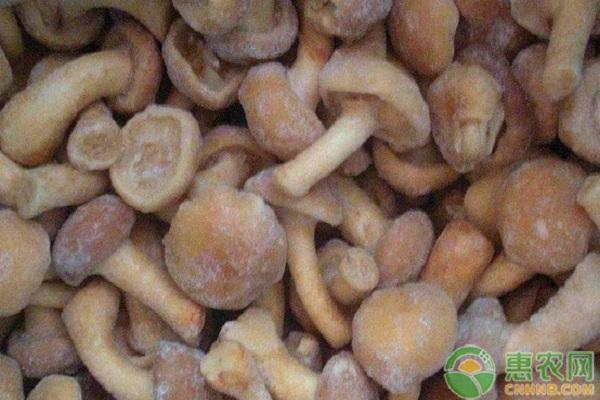 牛肝菌多少钱一斤？有哪些功效和作用？（附牛肝菌的食用禁忌）