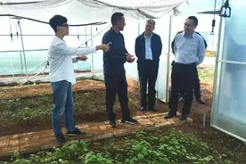 青羊区赴甘孜州得荣县调研指导对口帮扶工作图片
