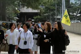 香格里拉惊魂记，云南旅游真的那么混乱不堪吗？图片