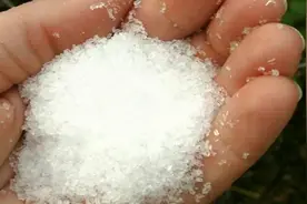 老花农经验足，用碳酸氢钠（小苏打）养花！这些全不用犯愁图片