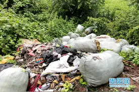 贵阳乌当奶牛场成了垃圾场，原来是半夜有人偷偷整车倒垃圾图片