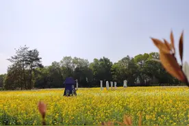 往事絮叨（解放前的家庭琐事）图片