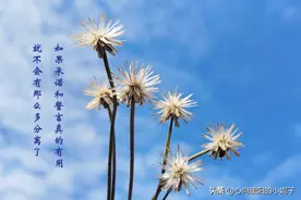 对方是不是真心爱着你？不要看他说了什么，而是做了什么图片