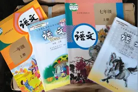 网红明星进教材引家长不满！经典被移出教材因为减负？专家这样说图片
