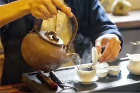 潮州凤凰单枞各类香型完整版图片