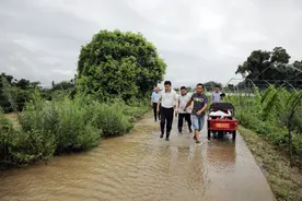 熊一江检查指导防汛工作图片