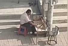 高温下，沈阳大爷对狗狗做出这一举动引来网友称赞图片