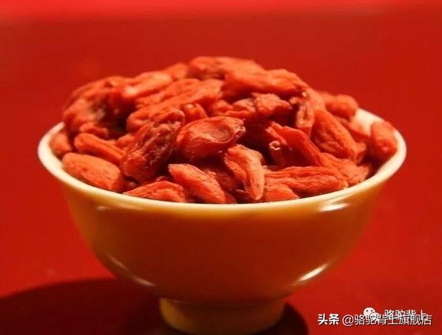 枸杞的功效与食用方法