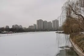 代孕的是是非非图片