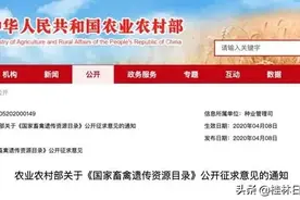 狗、竹鼠拟禁止食用！“可食用陆生动物名单”征求意见，你怎么看？图片