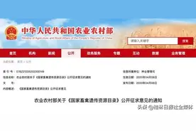 狗、竹鼠拟禁止食用！“可食用陆生动物名单”征求意见，你怎么看？图片
