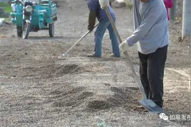 走向我们的小康生活 | 江安镇鄂埭村：建设“四好农村路”， 打通农民小康路！图片