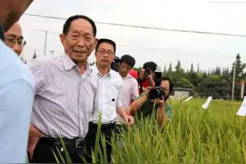 袁隆平院士：农民选择打工都不愿意种田，这个问题已经非常严峻！图片