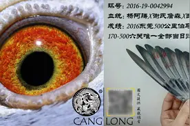 刚养三年的新手“伯马”究竟是怎样做到的？图片