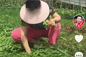 47岁邓亚萍审美遭质疑，花衣粉裤出镜，蹲田地里摘菜好似村妇图片
