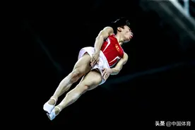 全国蹦床冠军赛27日开战 董栋领衔众国手披挂上阵图片