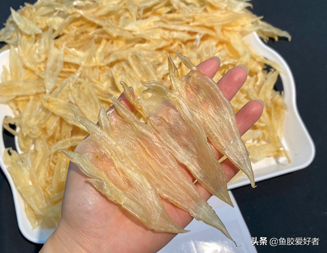 北海阴阳胶鱼胶好不好 北海阴阳鱼胶是什么鱼